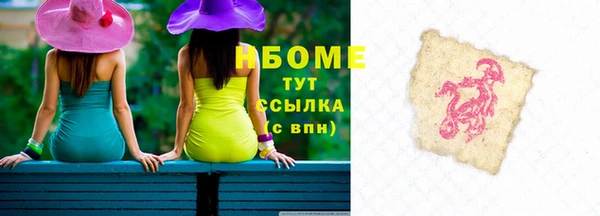 хмурый Алзамай