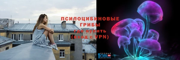 хмурый Алзамай