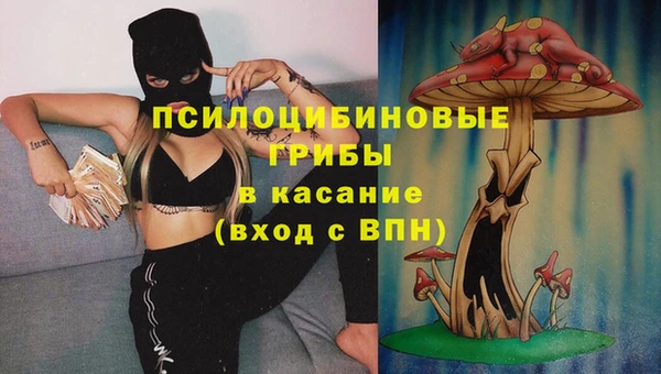 хмурый Алзамай