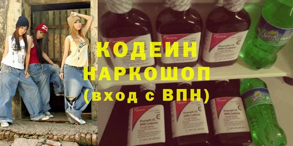 хмурый Алзамай
