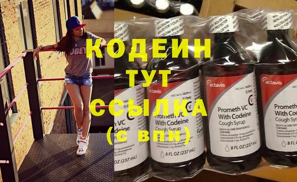 хмурый Алзамай