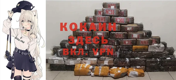 хмурый Алзамай